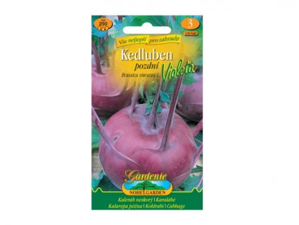 152295 kedluben pozdni violeta modry