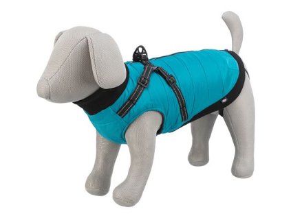 277644 oblecek pontis vesta s postrojem tyrkysova