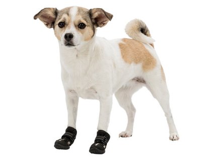 242121 ochranne boty walker active xs s 2 ks jorsksirsky terirer