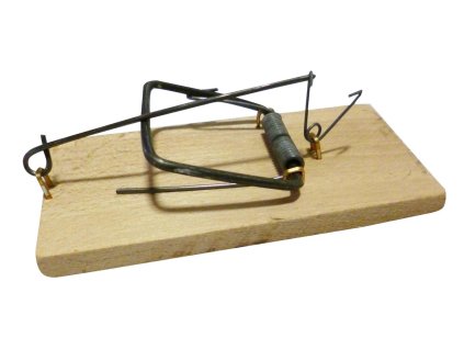 143970 past mys drevena p