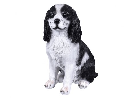 337240 pes kokrspanel sedici 11x16x21cm