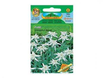 258951 1 protez alpska bila