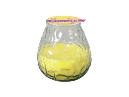 160092 1 svicka citronella zahradni ve skle d10cm 100x100x105