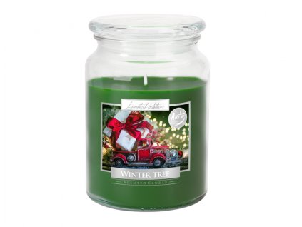 193842 svicka ve skle zimni stromek vonna 500g