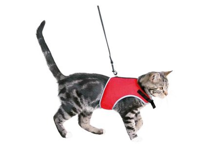 239637 xcat postroj vesticka pro kocky 24 42cm 1 20m