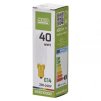 177789 1 zarovka do digestore 40w 240v e14