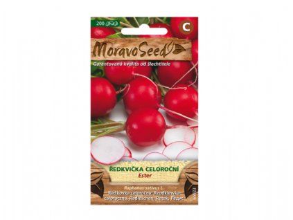 236832 1 redkvicka celorocni ester cervena 65923