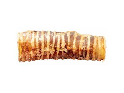 147981 hovezi prudusnice trachea 1 ks