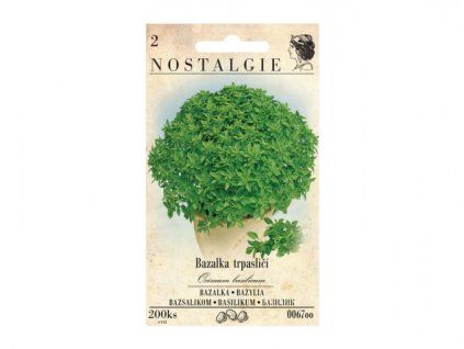149805 bazalka trpaslici