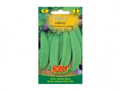 151824 hrach cukrovy