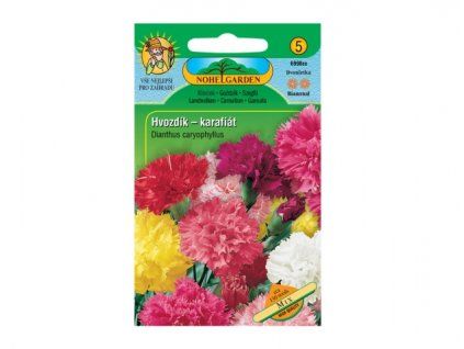 188502 hvozdik karafiat smes