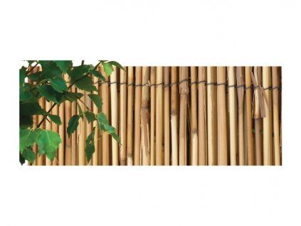 162423 rohoz rakos kava 1 5x5m