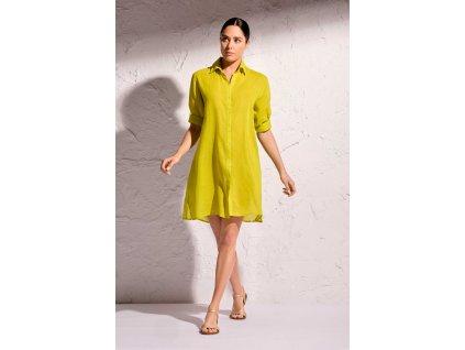 DB25 031 lime A