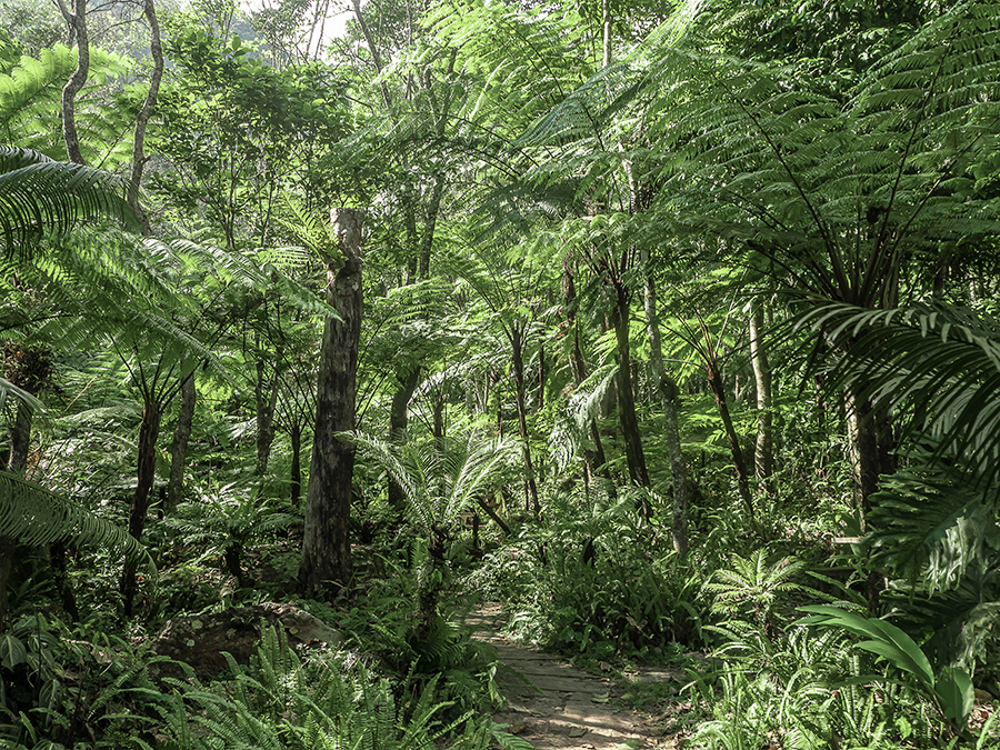 Přírodní složení