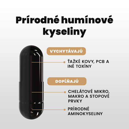 Účinok prírodných humínových kyselín na organizmus