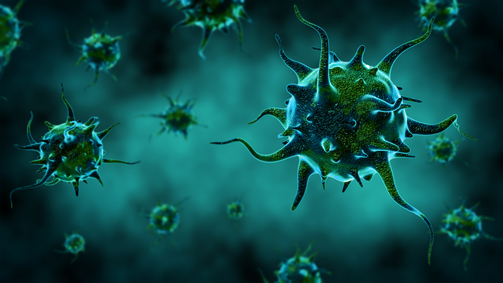 Antivirové a protizánětlivé vlastnosti