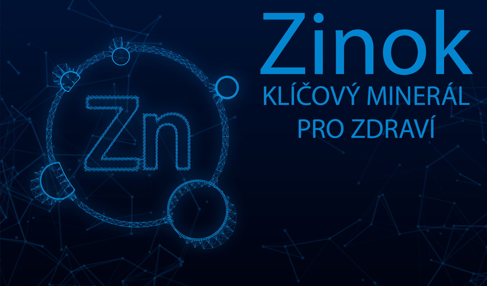 Zinek - klíčový minerál pro zdraví