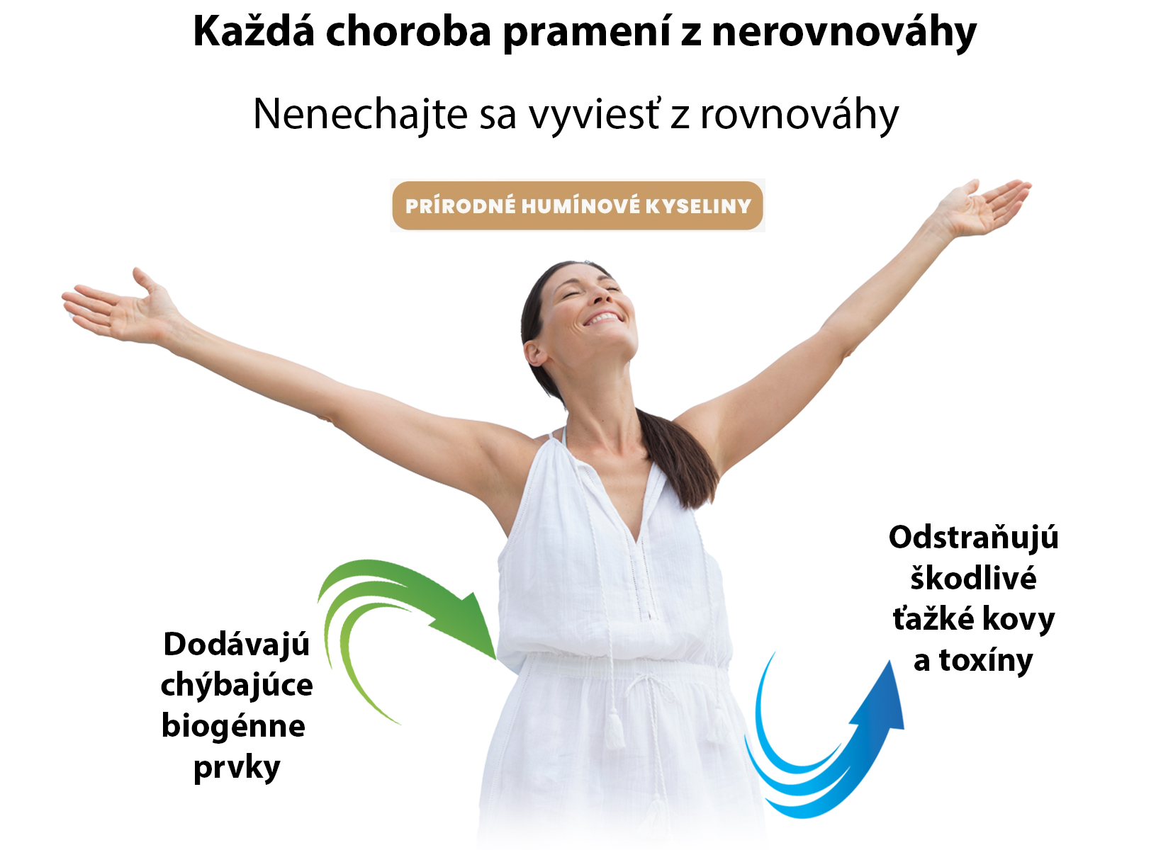 huminove kyseliny