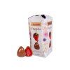 Dezert CHOCOLADY Fragola milk 120g