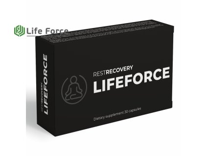 Box RESTRECOVERY Mockup 1