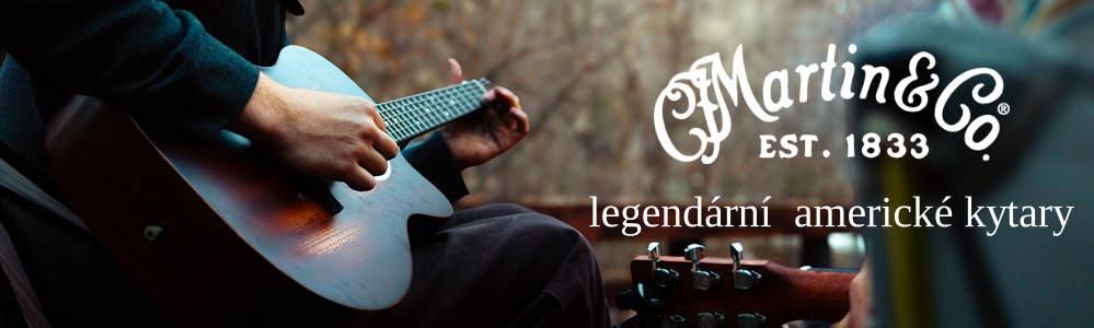 Martin guitars