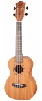 UKULELE