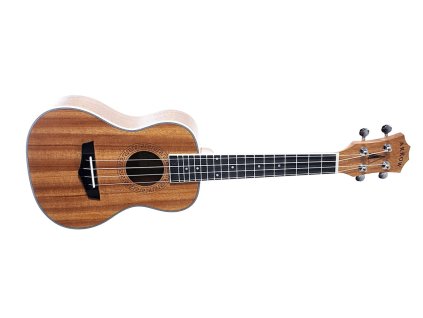 Arrow MH10Plus
