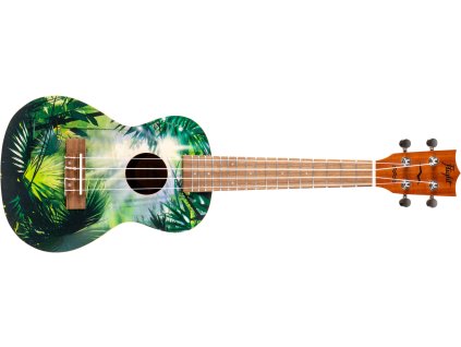 Flight AUC 33 Jungle