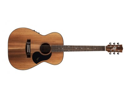 Maton EBW808 big