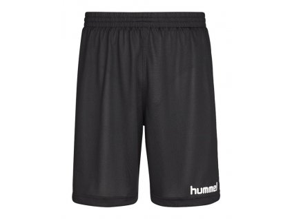 HUMMEL 010815-Trenky ESSENTIAL GOALKEEPER SR.