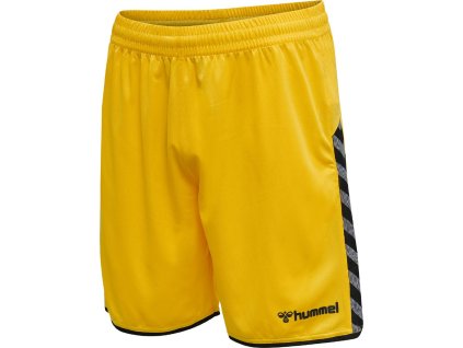 HUMMEL 204924 - Trenky hmlAUTHENTIC POLY SHORTS