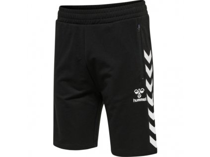 HUMMEL 211156 - Kraťasy hmlRAY 2.0 SHORTS