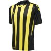 HUMMEL 211458 - Dres hmlCORE XK STRIPED JERSEY S/S