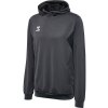 HUMMEL 219976 - Mikina hmlAUTHENTIC PL HOODIE
