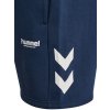 HUMMEL 235291 - Kraťasy hmlLEGACY 2.0 SHORTS