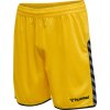 HUMMEL 204924 - Trenky hmlAUTHENTIC POLY SHORTS