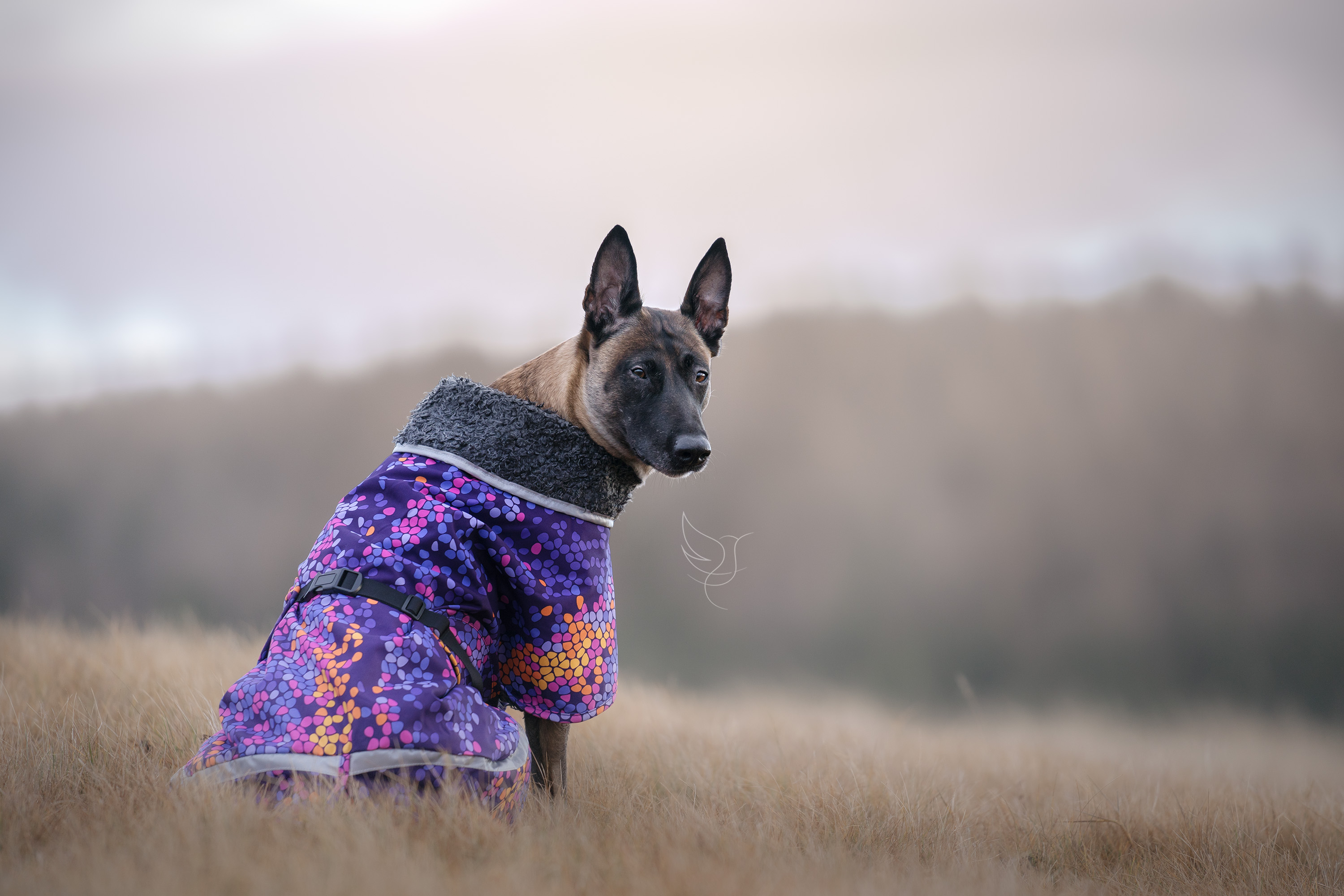 Zimní oblečky Pomppa