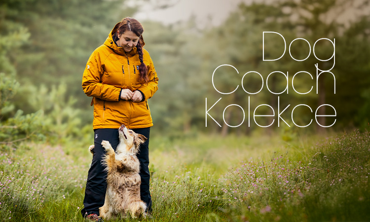 Dog Coach