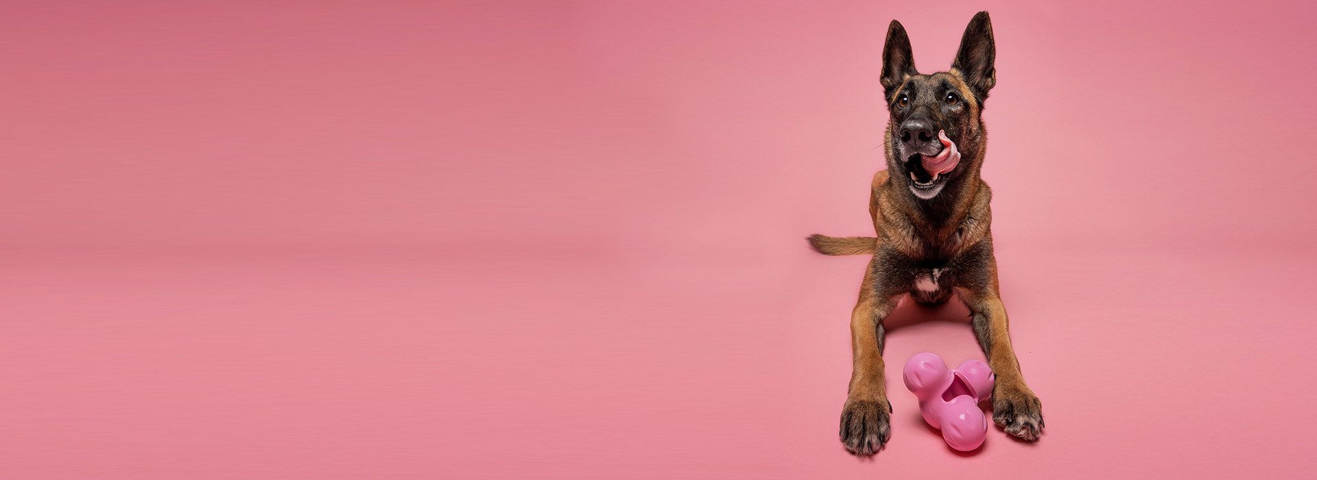 Hračky, které něco vydrží