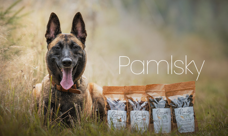 Pamlsky