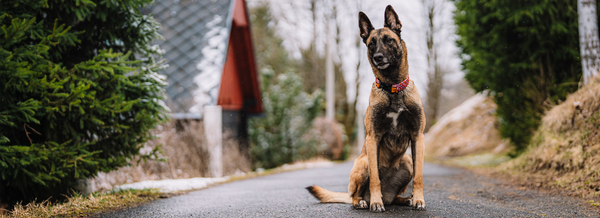 Představuji první drop – WAVES 💜