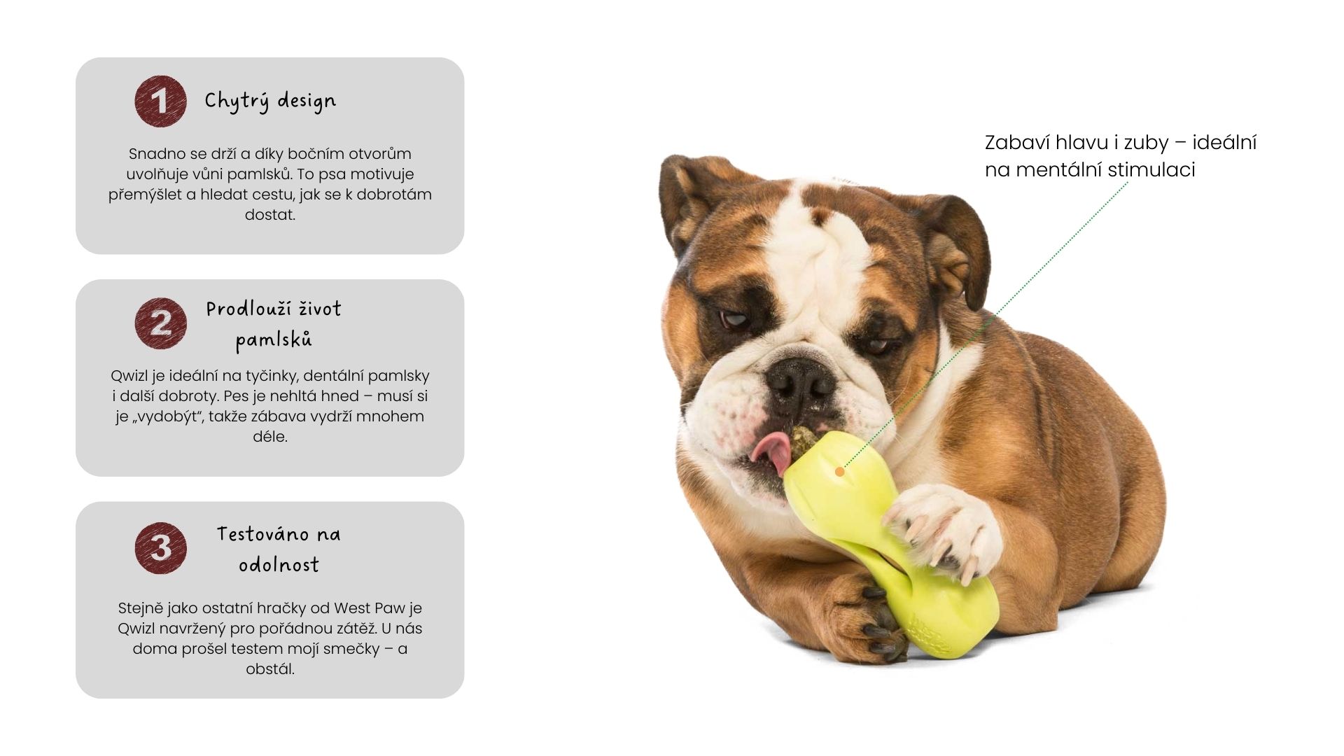 Jak využít hračky Qwizl