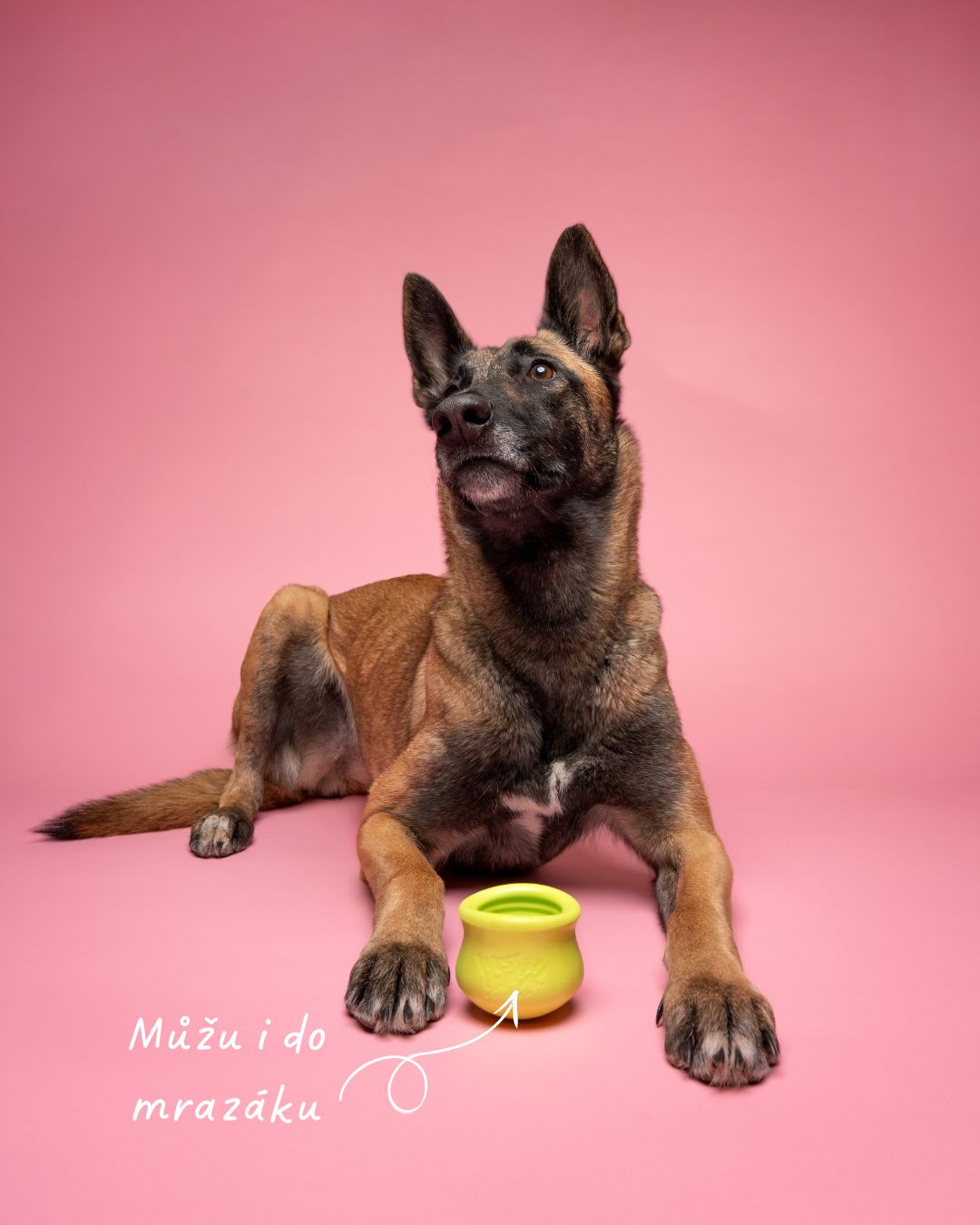 Plnící hračka Toppl