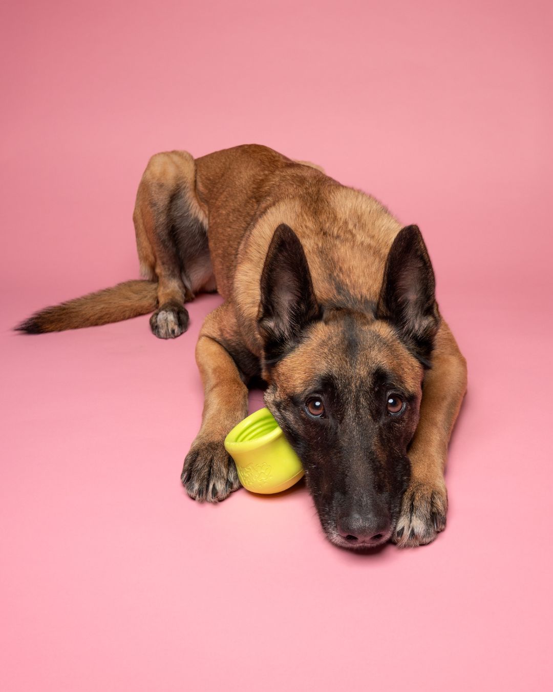 Plnící hračka Toppl