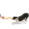 BUMI TANGERINE DOG TUG O WAR 5000x