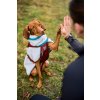 trekking fleece dog jacket setting 2