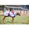 trekking fleece dog jacket setting 4