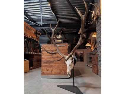 BBA07928 C56F 4A80 B66A 935EE4DCDE2E