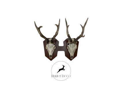 Horizontal Trophy Mount for 2 Trophies – Side-by-Side Metal Display