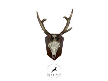 Roe Deer Trophy Plaque – Solo (Modular Diamond System)